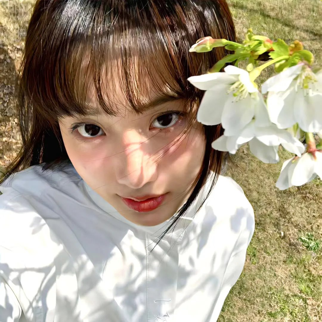 野探哈莉第四季