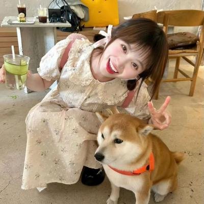 美国派:高潮再起